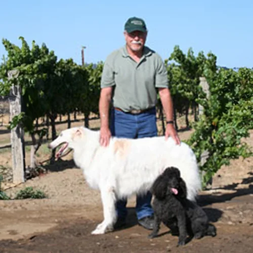 Dr. David McCrystle stands outdoors in a vineyard, smiling while resting his hands on a large white dog with a smaller black dog sitting at his feet.