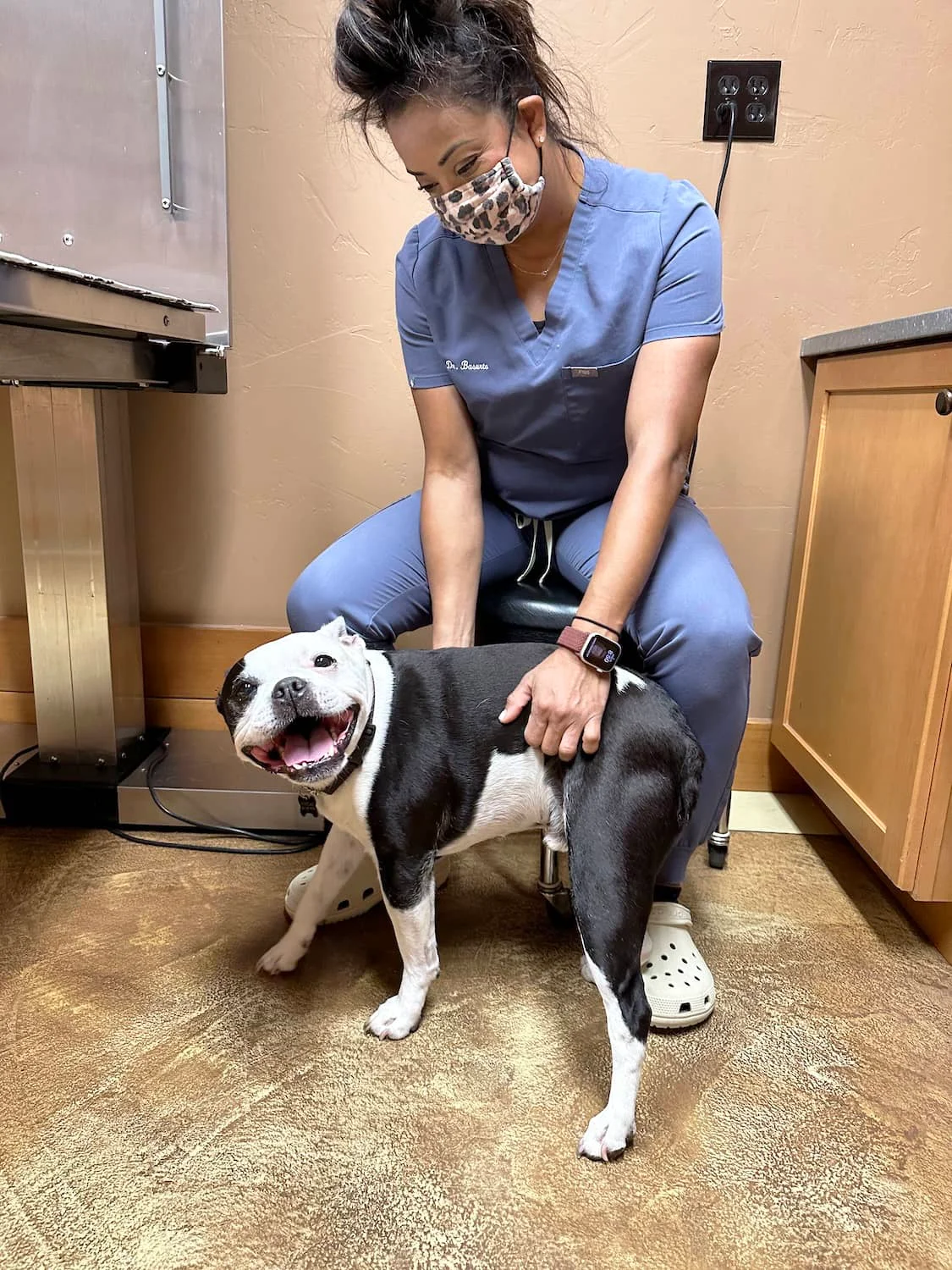 A veterinary professional examines a smiling dog in an exam room while wearing scrubs and a mask.