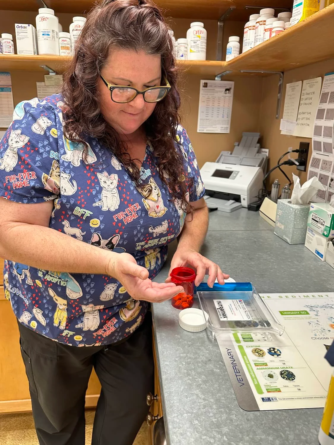 A veterinary technician counts red pills in a pharmacy area, preparing a prescription with medication bottles on the shelves behind her.