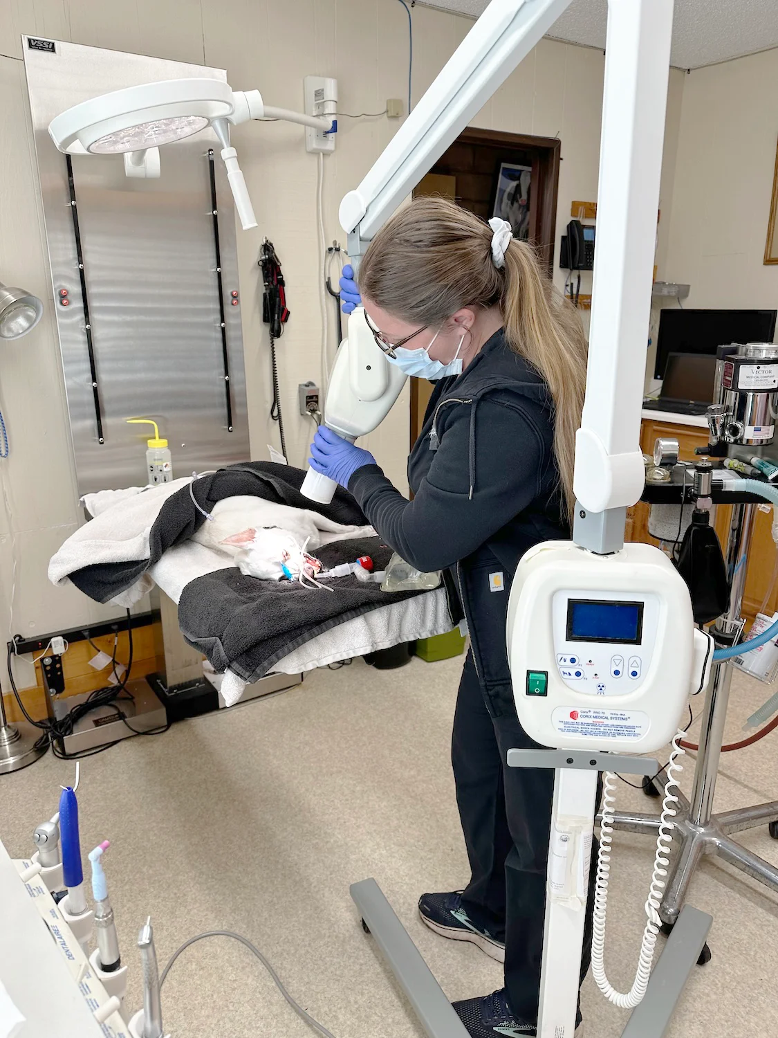 A veterinary technician uses imaging equipment on a small pet during a procedure in a clinic room.